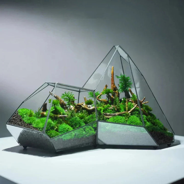 Geometrisk Glass Moss Plante Terrarium Vase | Luvikno