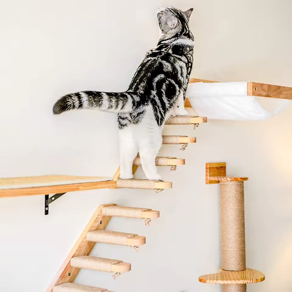 Kattestige for veggmontering laget av tre med sisal Luvikno