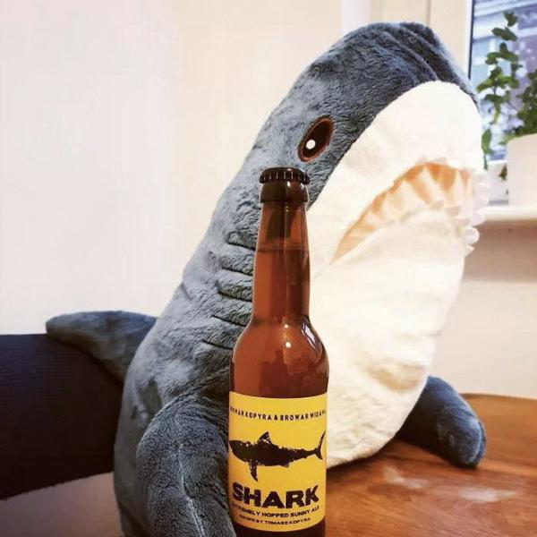 Shark Plush Toy | Luvikno
