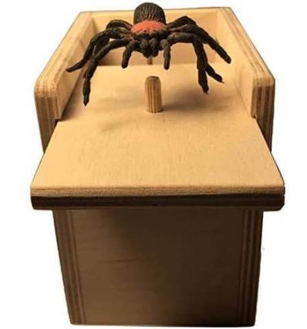 Spider Prank Box | Luvikno