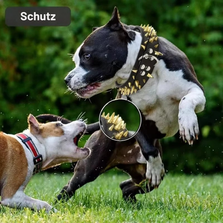 Hundehalsbånd med nagler for store hunder Luvikno