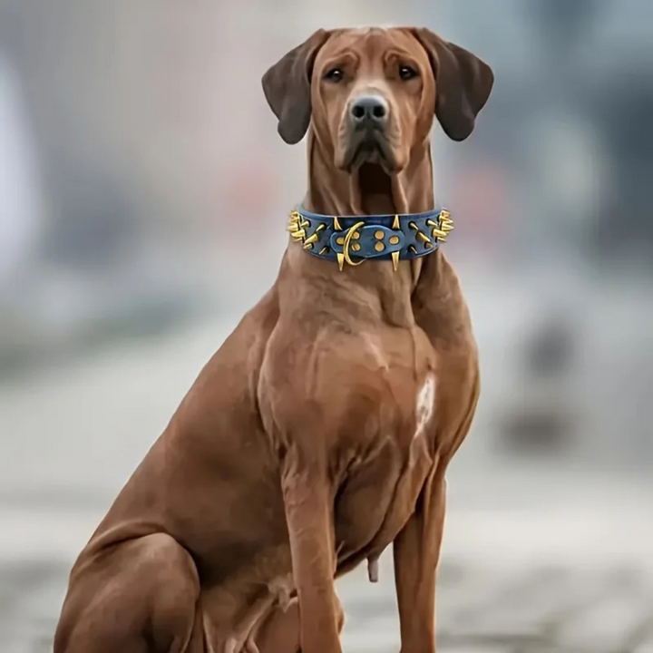 Hundehalsbånd med nagler for store hunder Luvikno