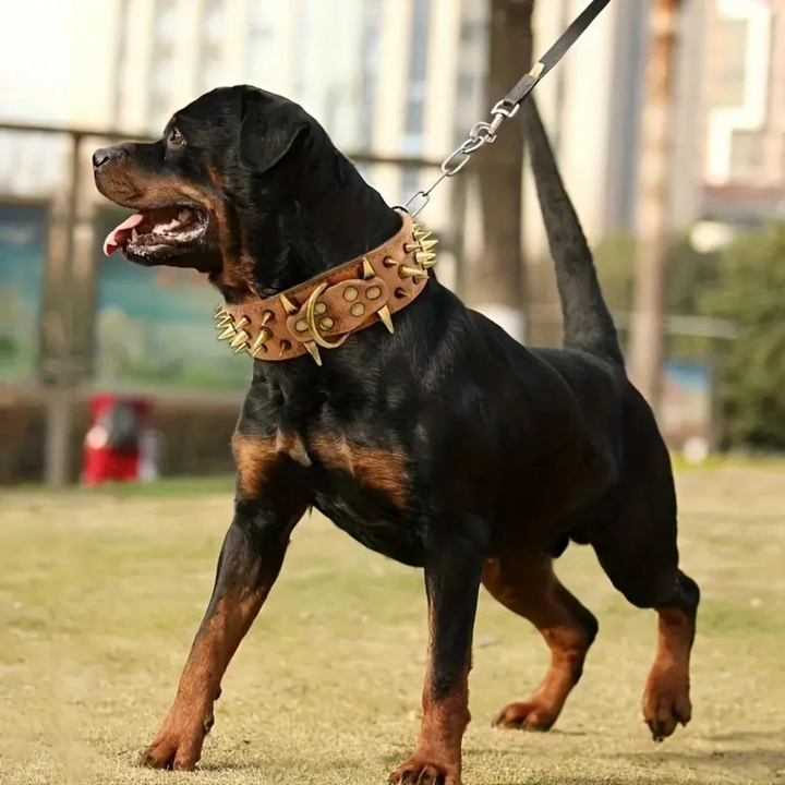 Hundehalsbånd med nagler for store hunder Luvikno