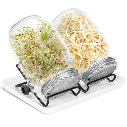 Spirende glass groinnglass 2stk med lokk & sil 950ML | Luvikno