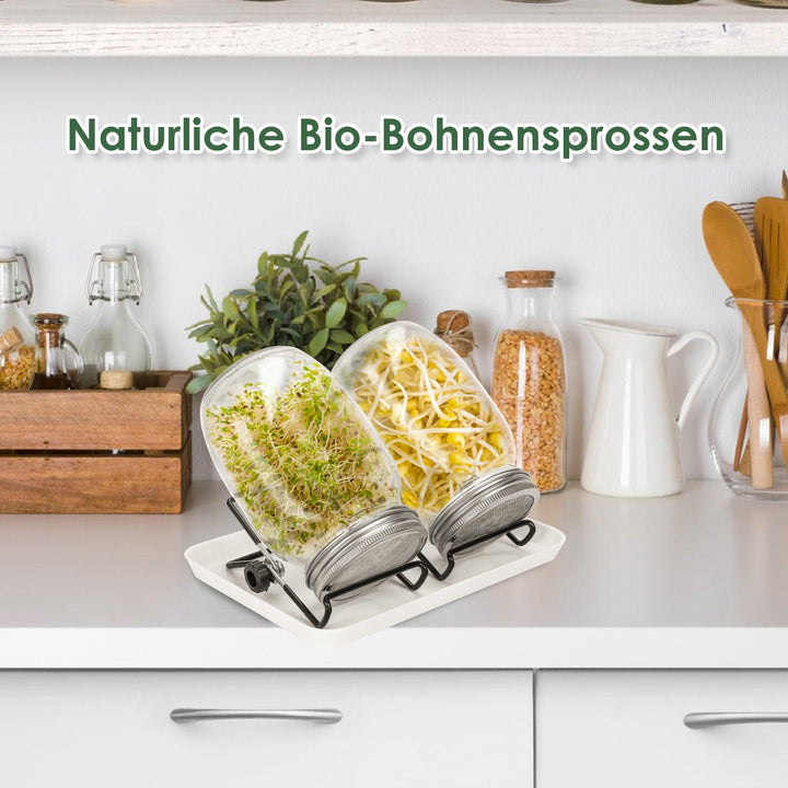 Spirende glass groinnglass 2stk med lokk & sil 950ML | Luvikno