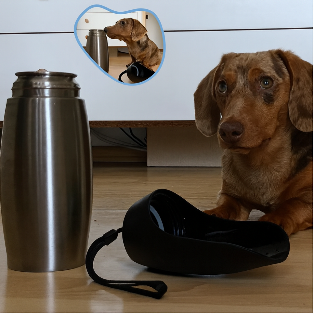 Rustfritt Stål Hund Vannflaske Bærbar Lekkasje Sikret Reise Skål Luvikno