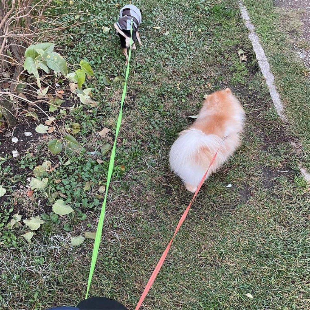TangleFree Dobbel Hundesele - Tangle-Free Sele for Enkelt Gåtur med To Hunder | Luvikno