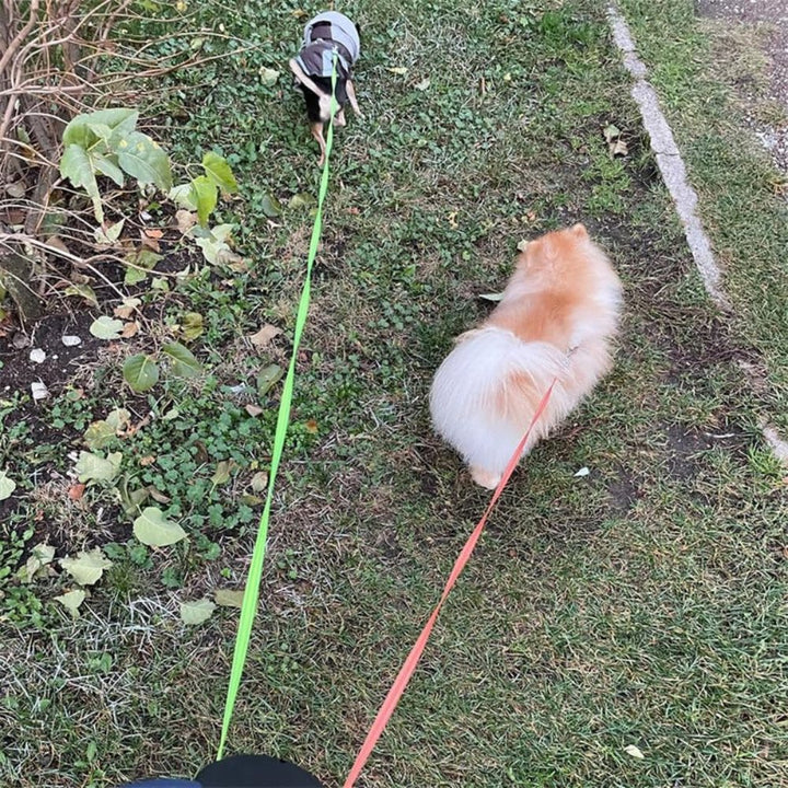 TangleFree Dobbel Hundesele - Tangle-Free Sele for Enkelt Gåtur med To Hunder | Luvikno