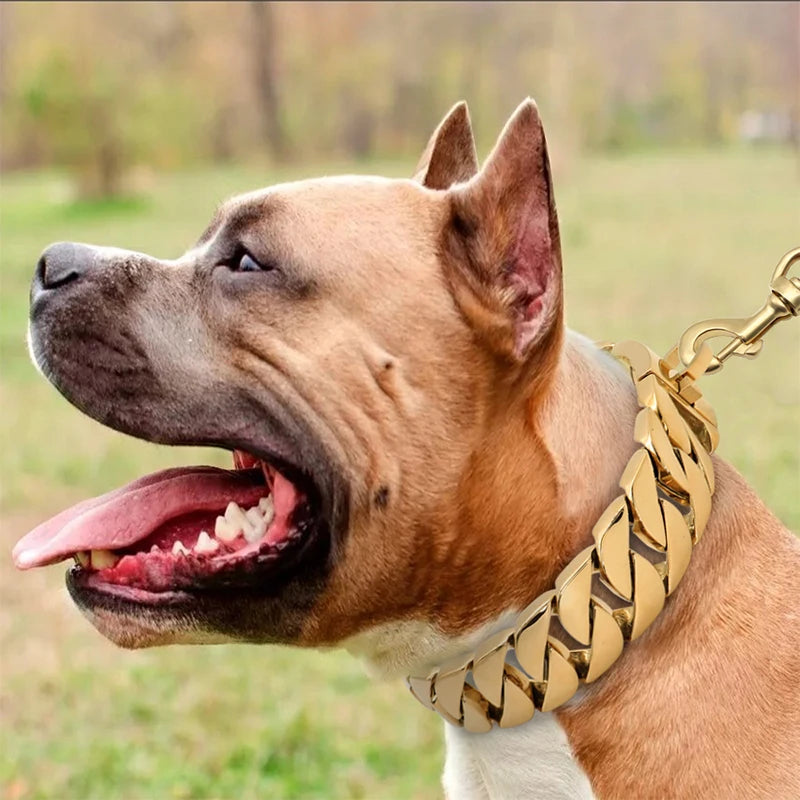 Luvikno | KrachtNeck Metall Hundehalsbånd – Robust Rustfritt Stål Halsbånd for Store Hunder