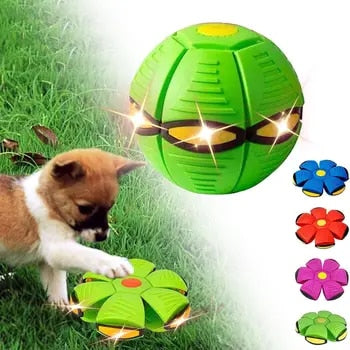 Hundelek Interaktiv Gummiflygende Disk Ball Luvikno