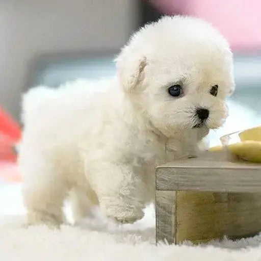 Luvikno | PuppyJoy Realistisk Hund | Bringer komfort og glede til hjemmet