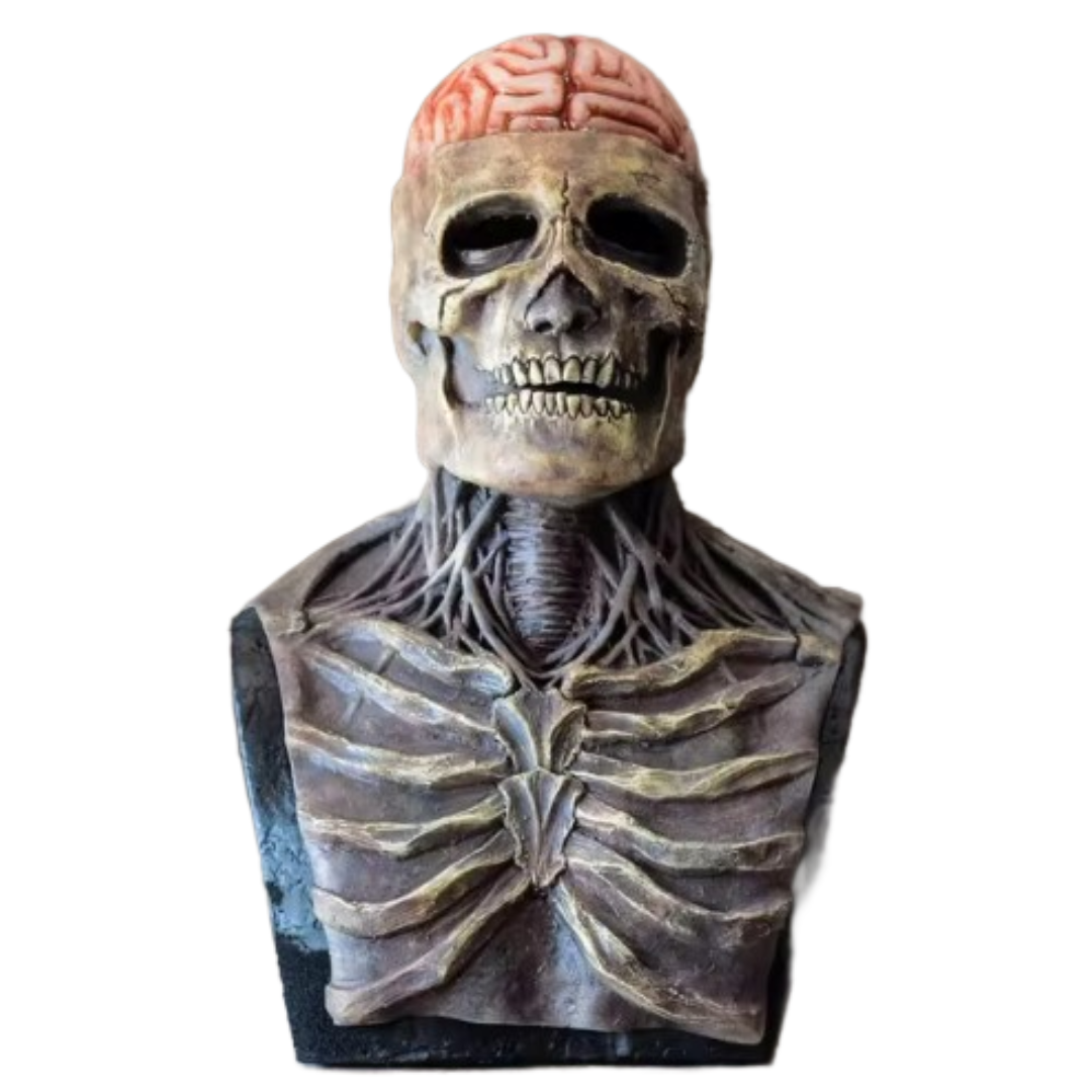 Luvikno | FancySkull costume | Skrem alle ut av sansene!