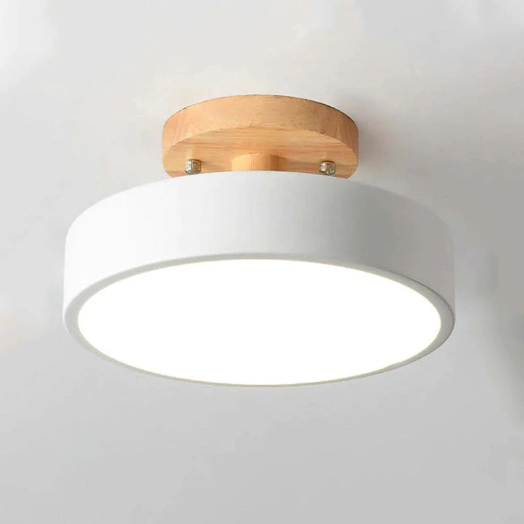 Stilig Moderne LED Taklampe Luvikno