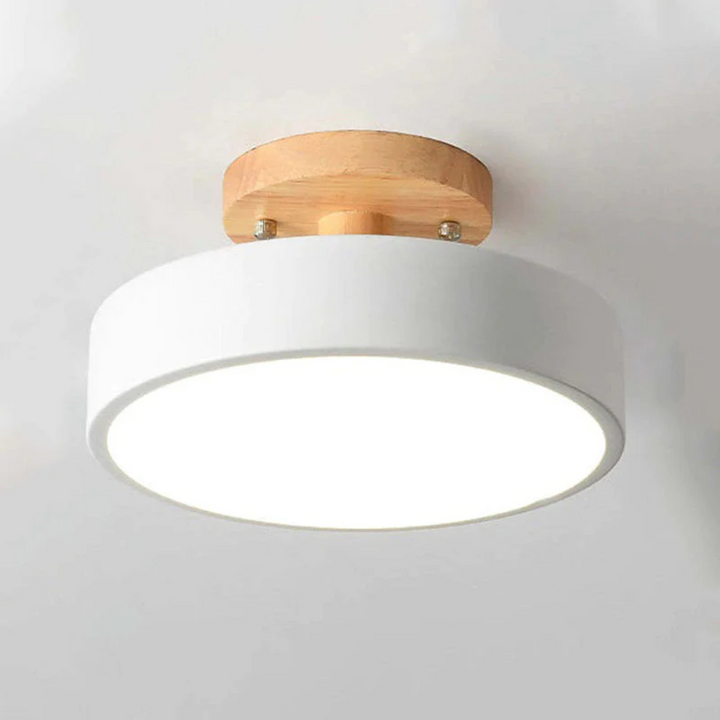Stilig Moderne LED Taklampe Luvikno