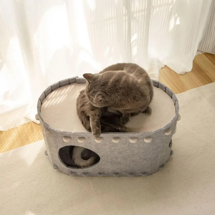 Koselig Ull Katt Hule Luvikno