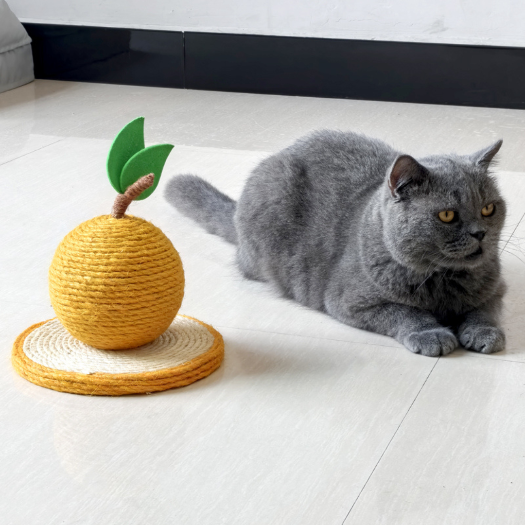 Katt klore oransje laget av sisal Luvikno
