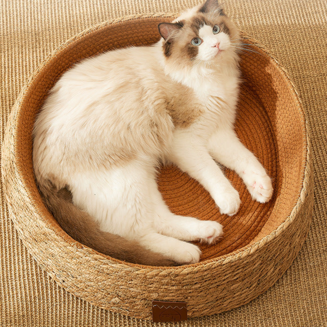 Håndvevd rattan katt klore seng Luvikno