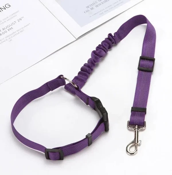 Justerbar Bil Hundesele | Luvikno