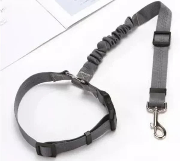 Justerbar Bil Hundesele | Luvikno