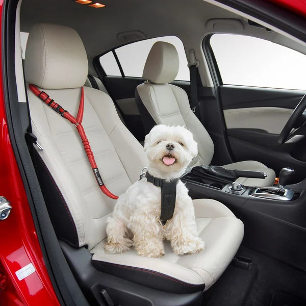 Justerbar Bil Hundesele | Luvikno