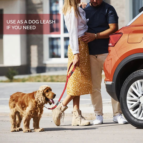 Justerbar Bil Hundesele | Luvikno