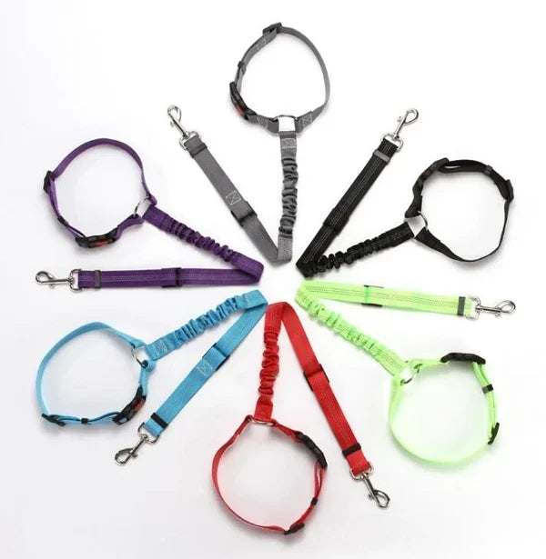 Justerbar Bil Hundesele | Luvikno