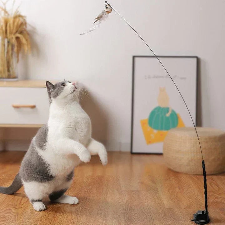 Natural Playtime - Interaktiv Fugle for Katter Luvikno
