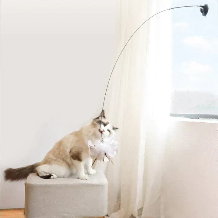 Natural Playtime - Interaktiv Fugle for Katter Luvikno