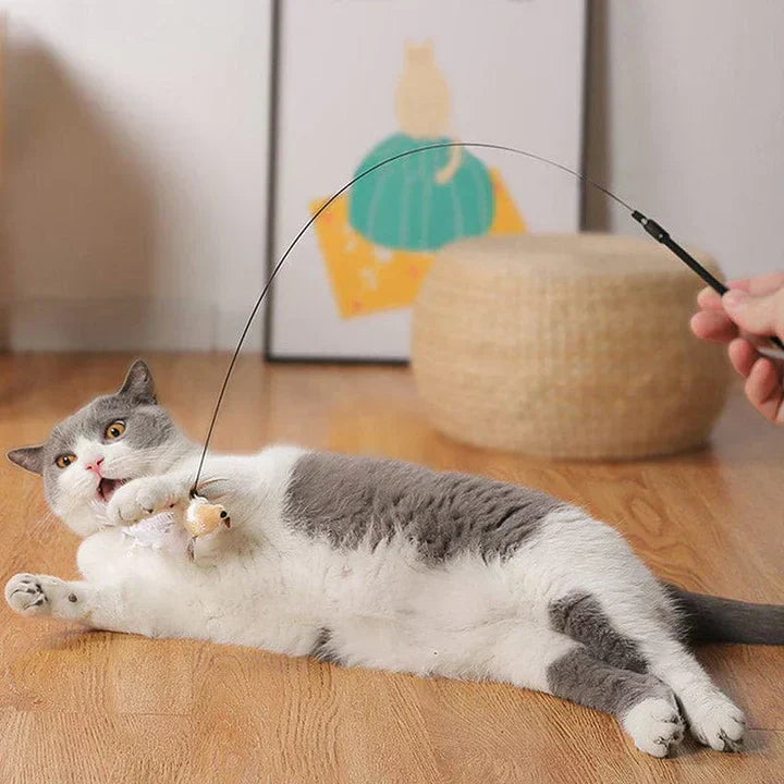 Natural Playtime - Interaktiv Fugle for Katter Luvikno