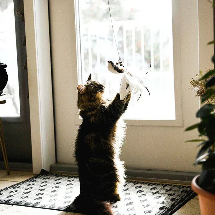 Natural Playtime - Interaktiv Fugle for Katter Luvikno