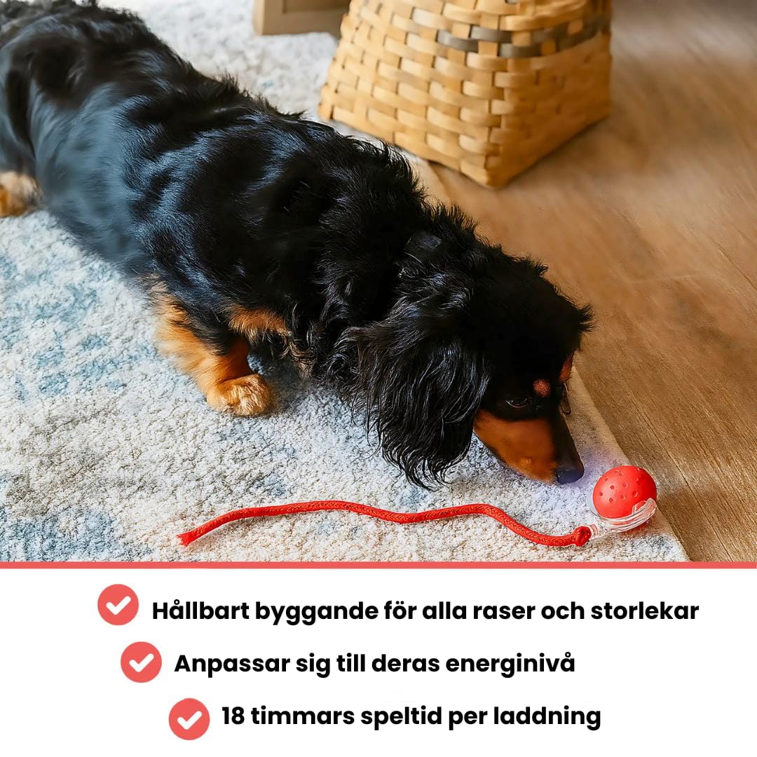 Luvikno | PawTail | Speedy Tail Hund Jakke Lett Vannavstøtende Pustende
