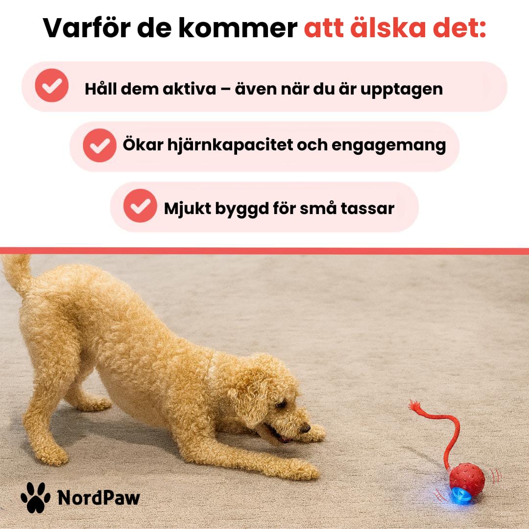 Luvikno | PawTail | Speedy Tail Hund Jakke Lett Vannavstøtende Pustende