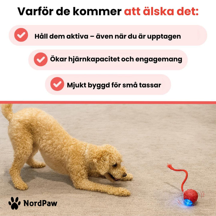 Luvikno | PawTail | Speedy Tail Hund Jakke Lett Vannavstøtende Pustende