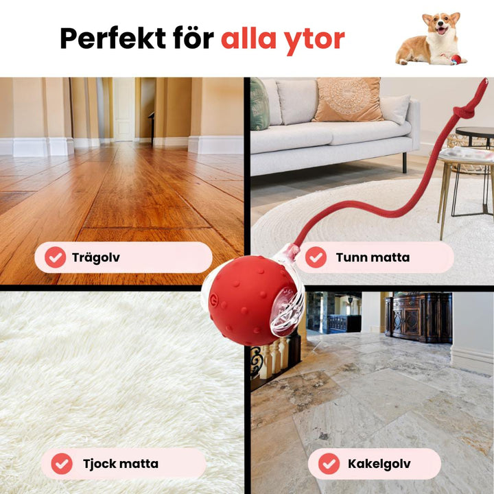 Luvikno | PawTail | Speedy Tail Hund Jakke Lett Vannavstøtende Pustende