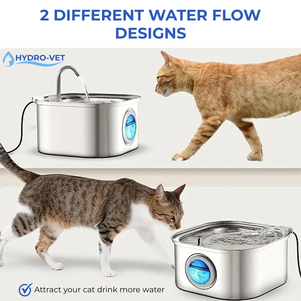 AquaSoft Whisper-Stille Drikke Fontene for Kjæledyr – 3,2L med LED, Rustfritt Stål & 5-Trinns Filtrering | Luvikno