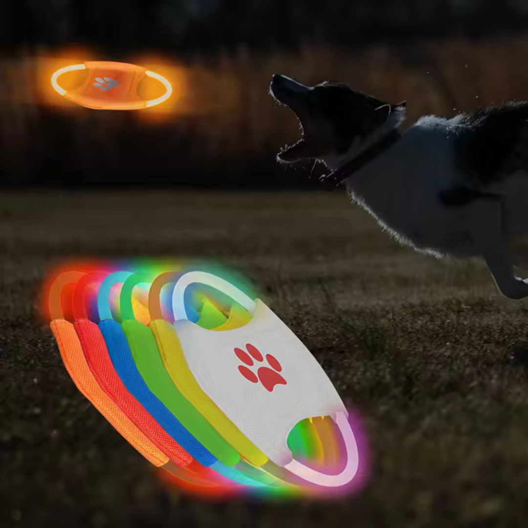 LED Frisbee for dogs oppladbar og vanntett Luvikno