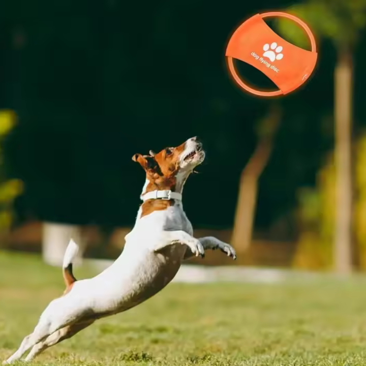 LED Frisbee for dogs oppladbar og vanntett Luvikno