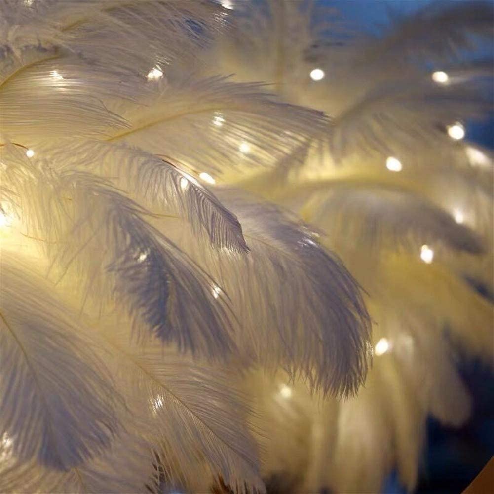 Ostrich Night Light | Eccentrisk Lampe med Fjær og Rose Gull Base | Luvikno
