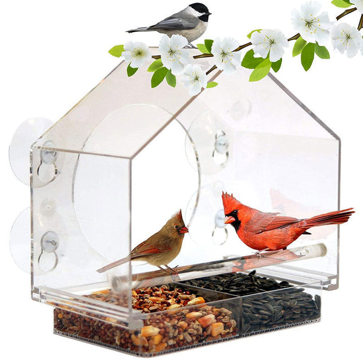 Smart Bird Feeder med Live Kamera | Luvikno
