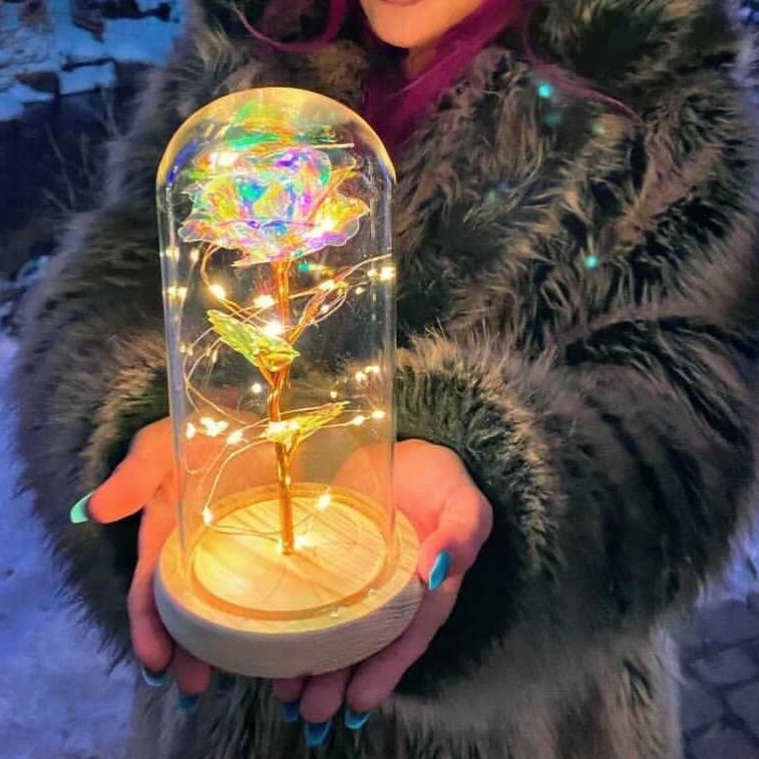 Rose i Glass Dome Display | Luvikno