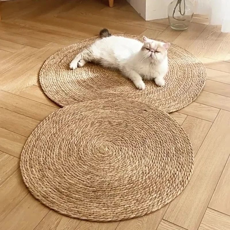 Luvikno | KrazeLuxe Matt — Endelig fred fra kløe-kaos og den favorittplassen for katten din