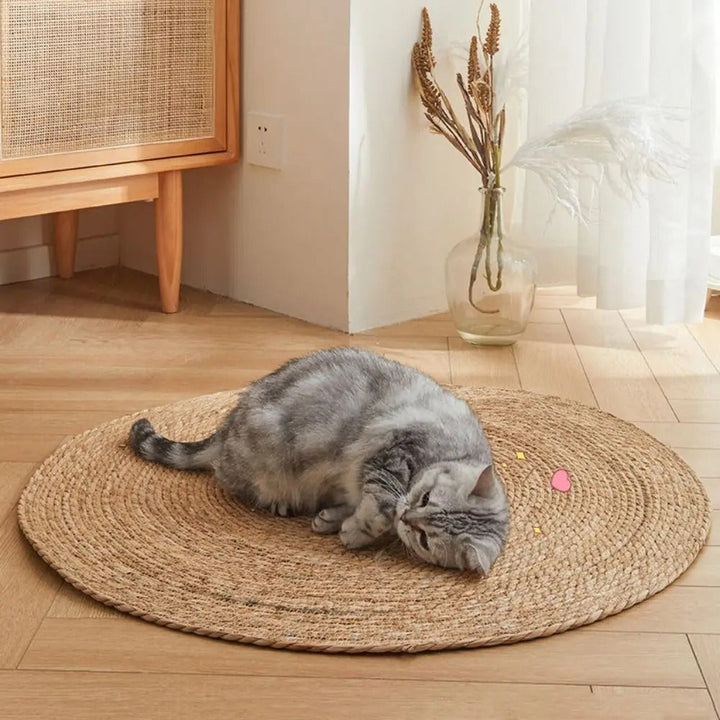 Luvikno | KrazeLuxe Matt — Endelig fred fra kløe-kaos og den favorittplassen for katten din