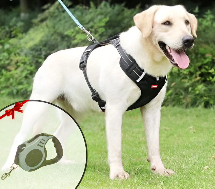 Anti-Pull Hundesele - FlexiFit Luvikno