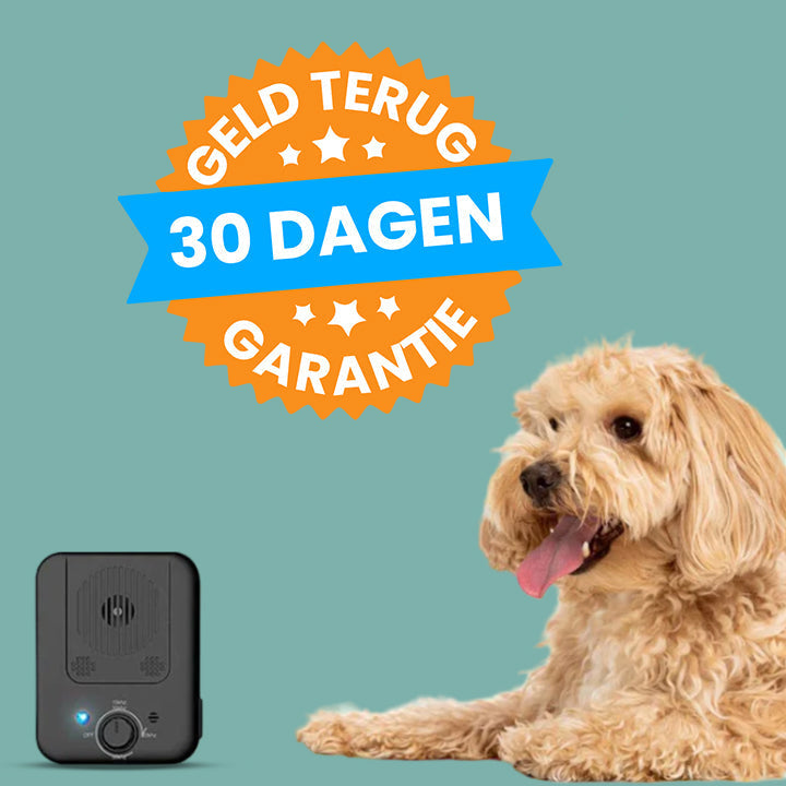 Automatisk Bjeff Stopp - WoofControl Luvikno