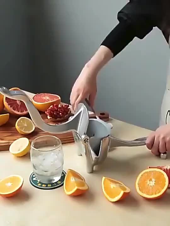 Sumba Juicer - Multifunksjonell Fersk Juice Maskin for Hjemmebruk Luvikno