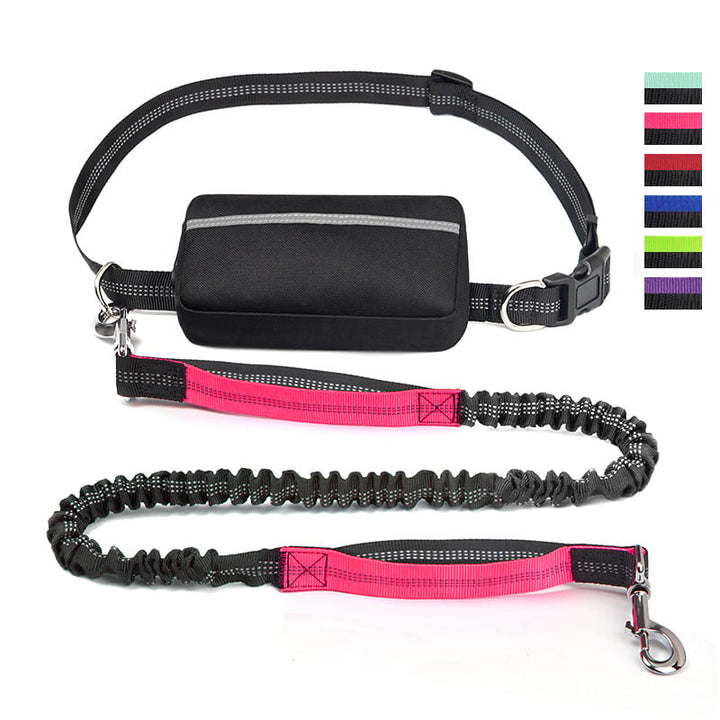 FlowLeash — Opplev myk kontroll og avslappede turer uten rykk! | Luvikno