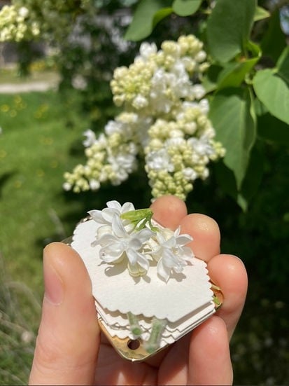 Luvikno | FloraKeep – Hold blomstene dine kjære friske for alltid!