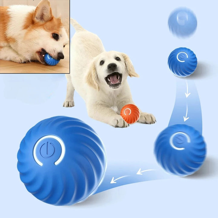 SmartPlay – Automatisk Spill Ball for Hunder Luvikno