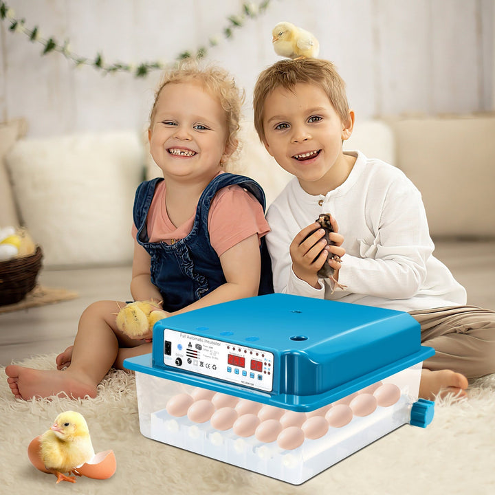 Brutautomat Fulle Automatisk Inkubator for Kyllinger 36 Egg | Luvikno