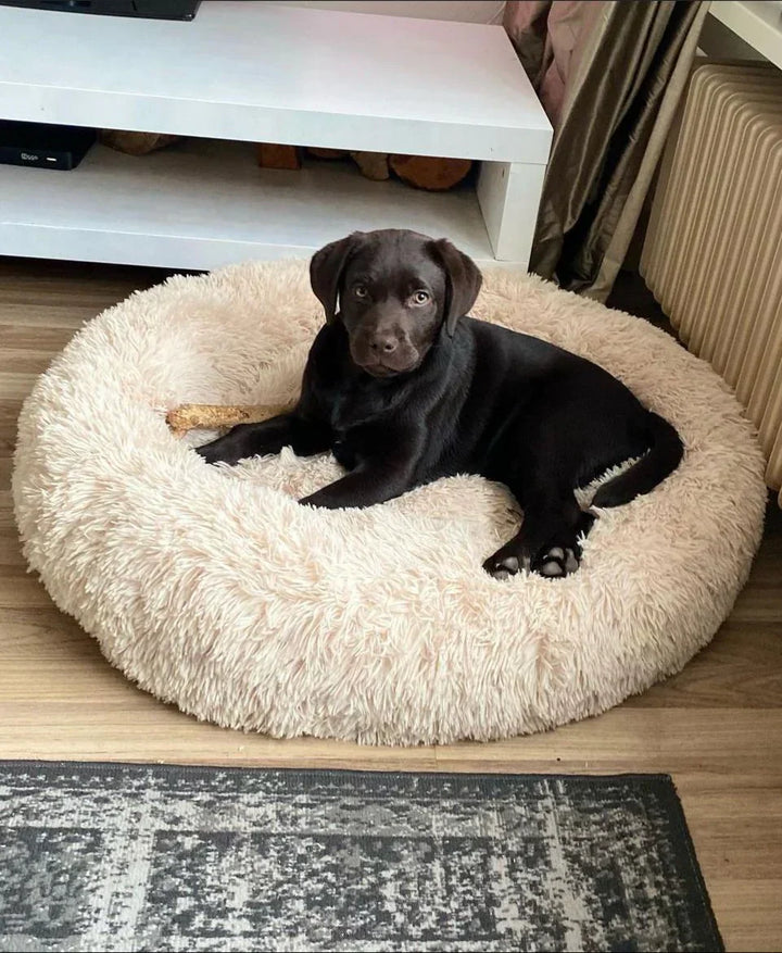 Luvikno | Stor ortopedisk hundeseng med ergonomisk støtte – Myk, slitesterk, hypoallergen komfort for alle raser